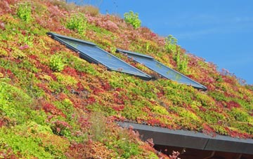 Agglethorpe living roof systems