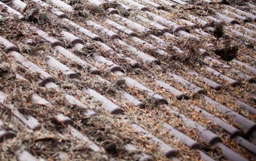 Agglethorpe roof cleaning companies