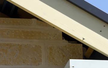 soffit repair Agglethorpe