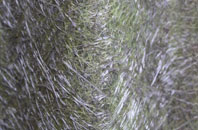 Agglethorpe fibreglass roof work